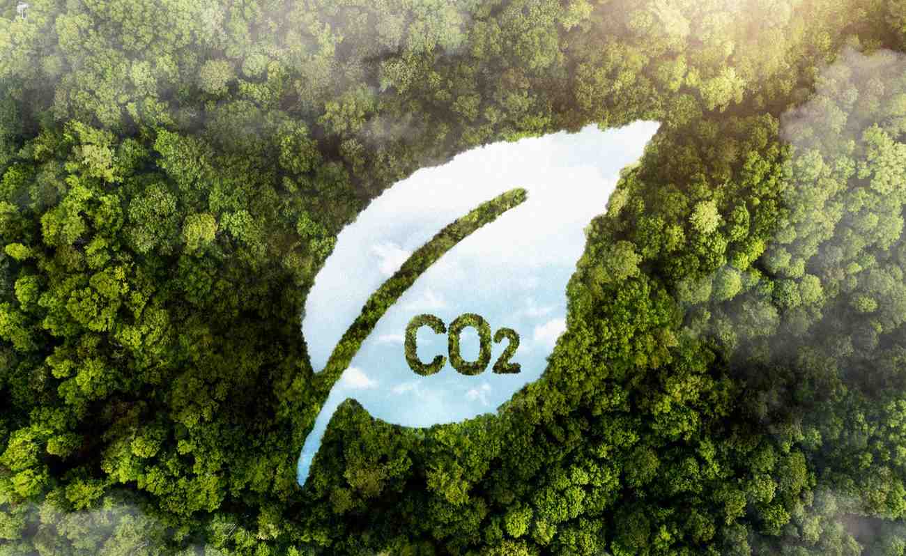 Waste disposal and segregation image eco-friendly waste management