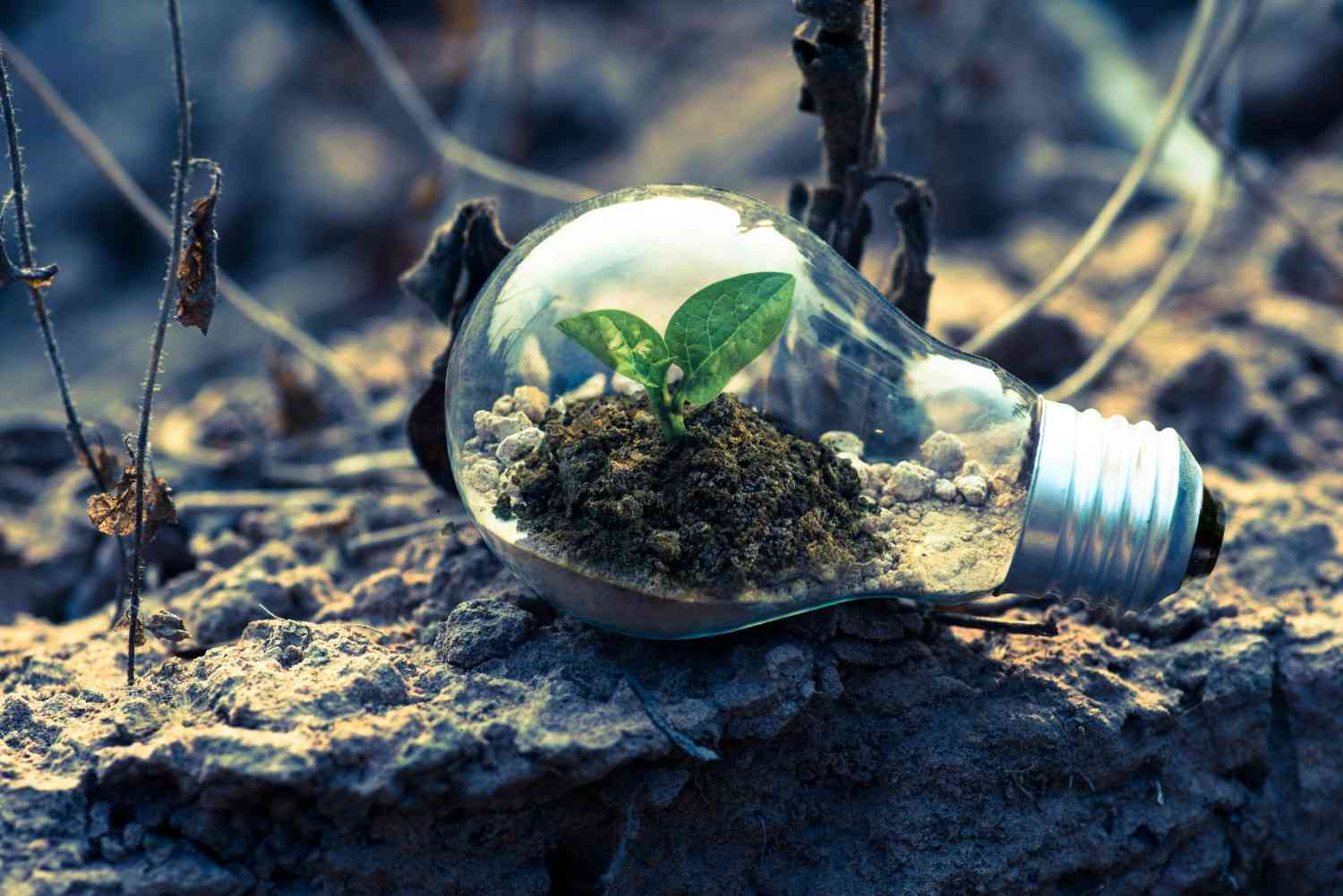 Green Impact